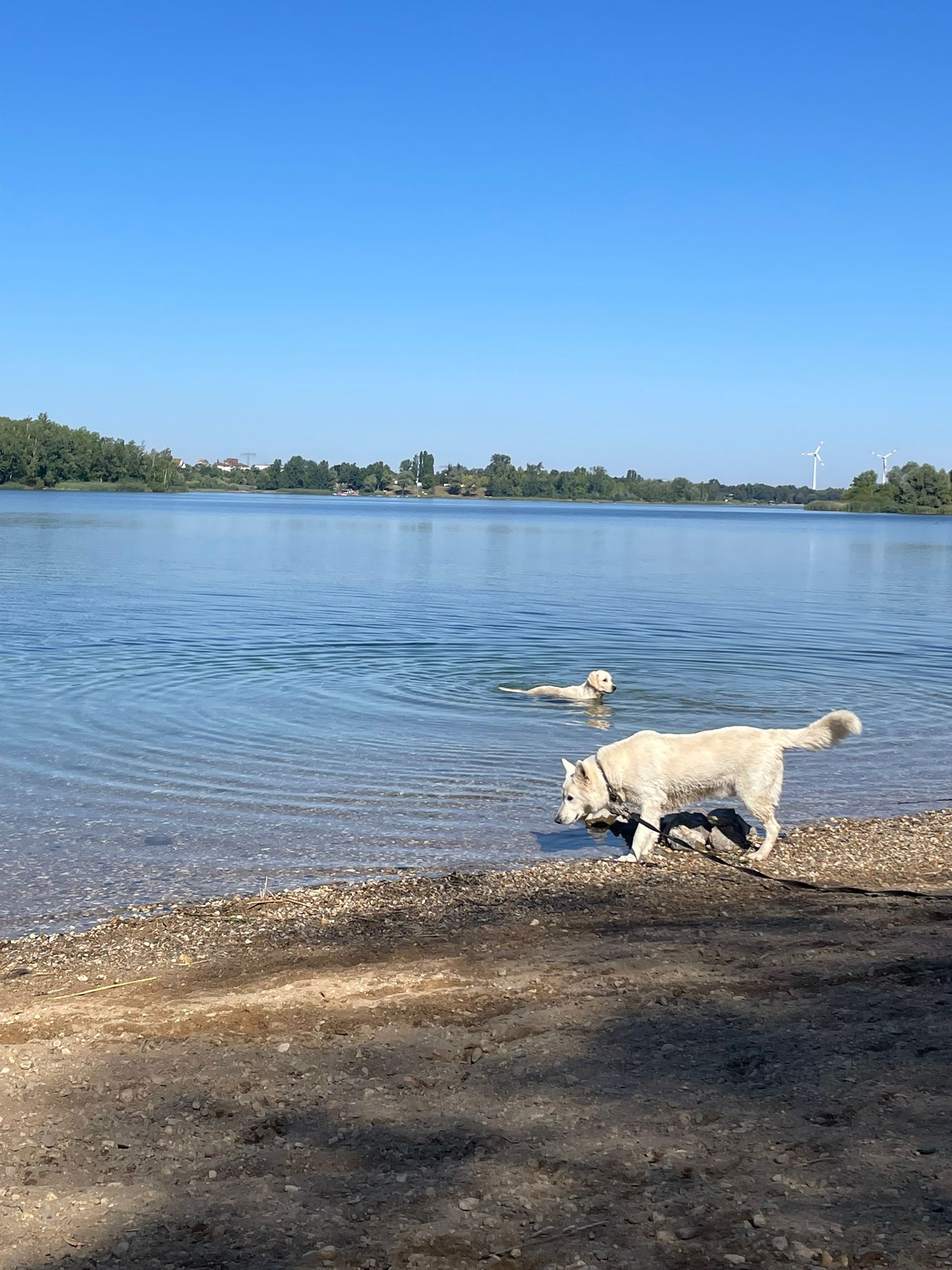 Hundestrand Ostufer Kulkwitzer See