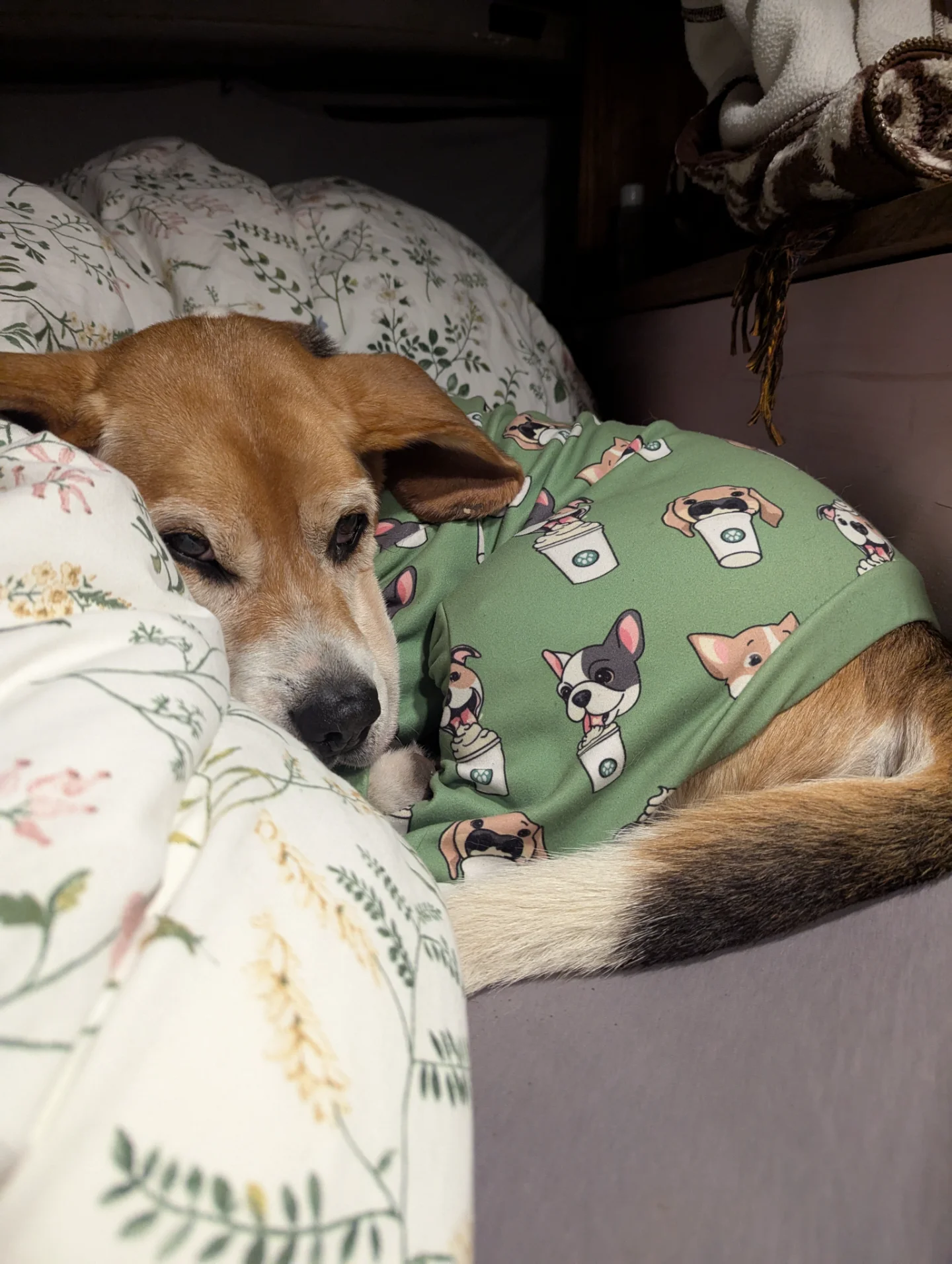 Campingplatz Wanderlust Ilsenburg