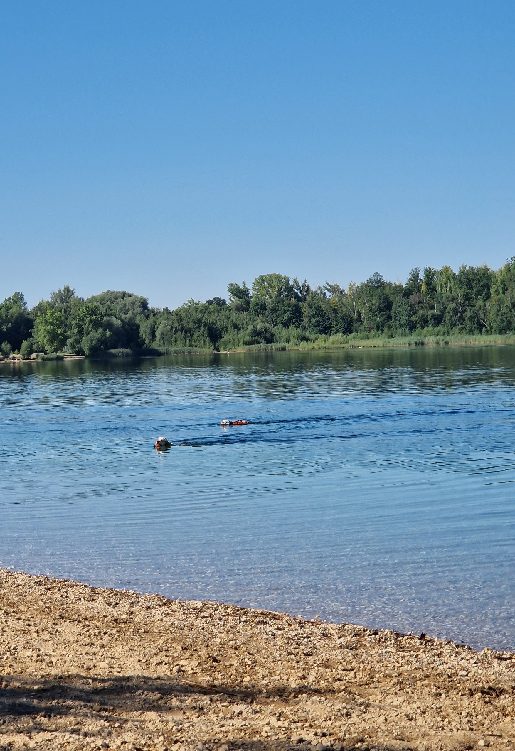 Hundestrand Ostufer Kulkwitzer See