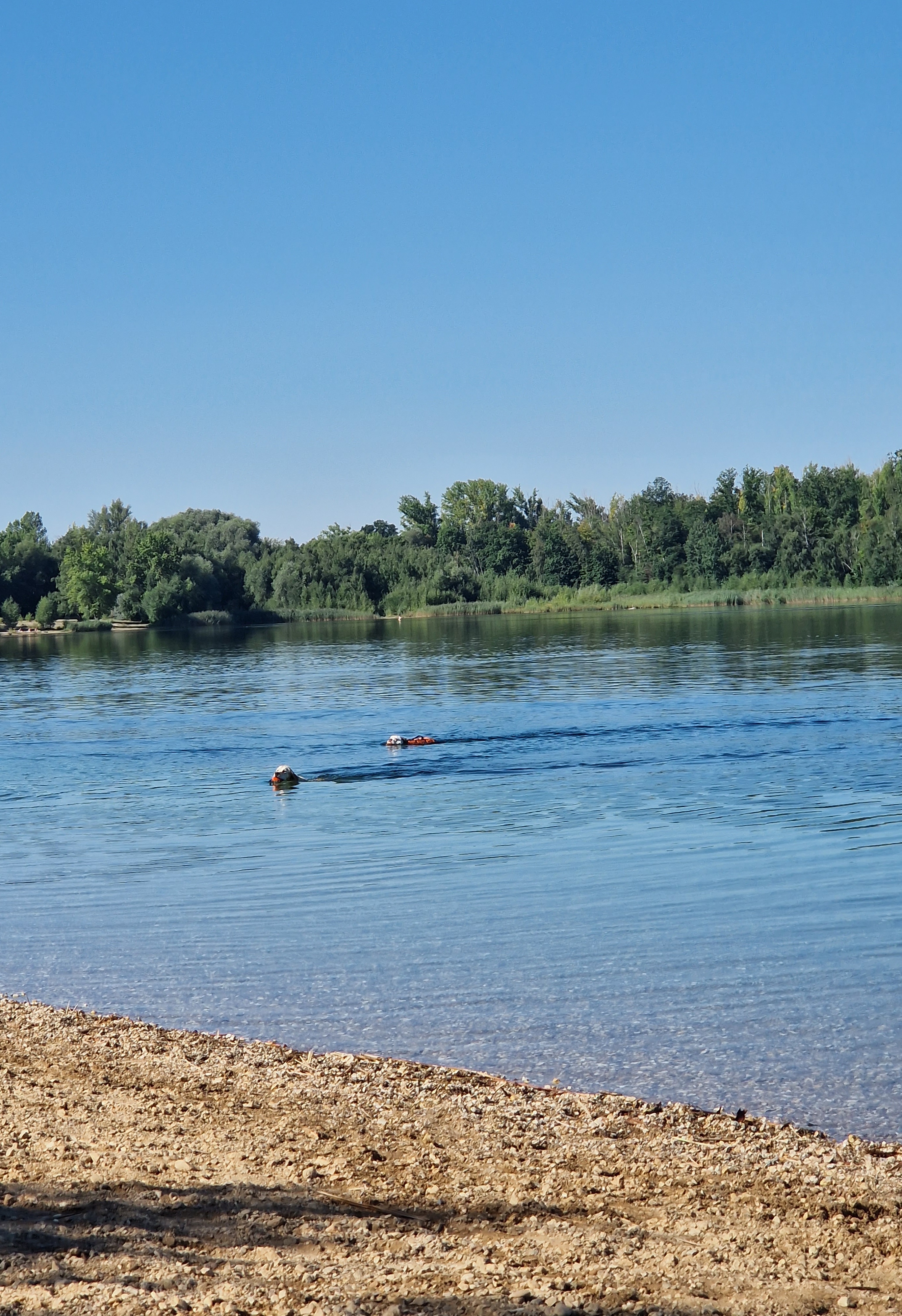 Hundestrand Ostufer Kulkwitzer See